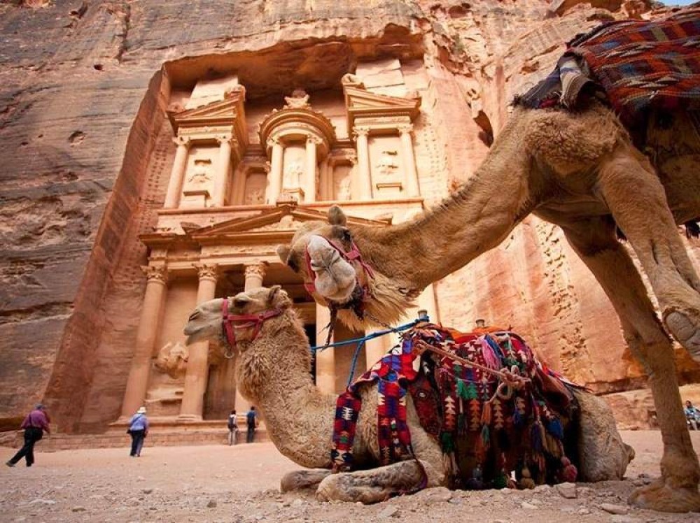 Shore Excursion: Wadi Rum and Petra Tour From Aqaba Port - 2D/1N