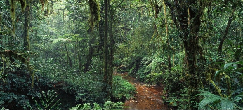 Private Tour: La Paz Waterfall Gardens Full Day Tour