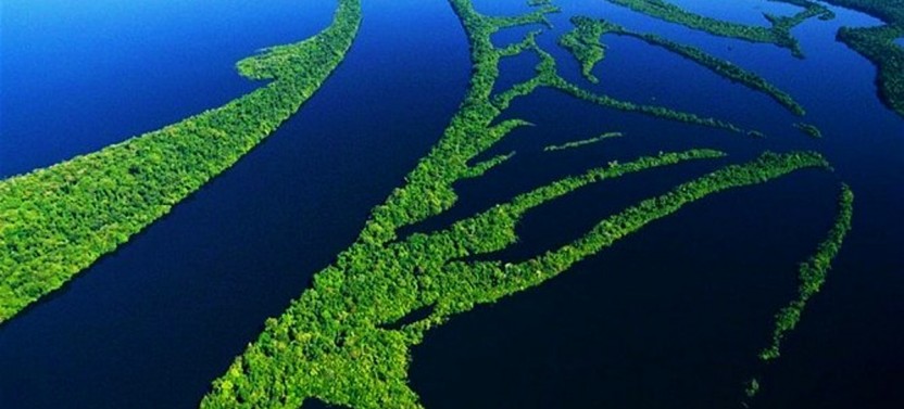 Full Day Amazonas Jungle Treck & Anavilhanas Archipelago