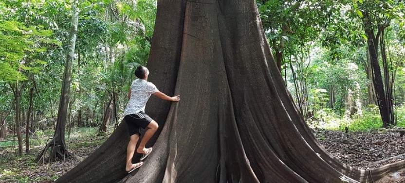 Full Day Amazonas Jungle Treck & Anavilhanas Archipelago