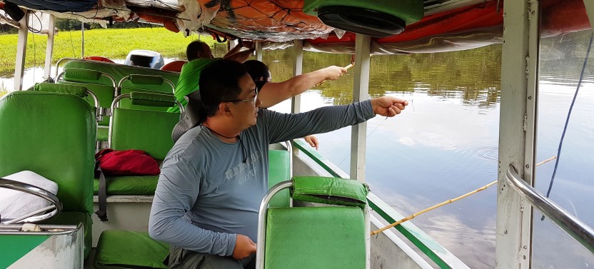Solimoes River Piranha Fishing and Alligator Watching Tour
