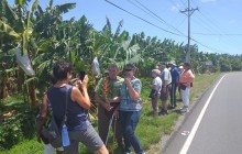 Greenway Nature Tours271