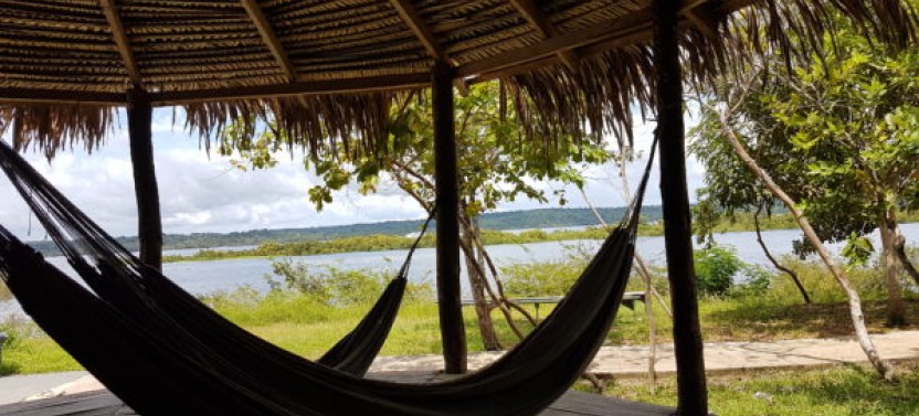 3 Days 2 Nights at The Jungle