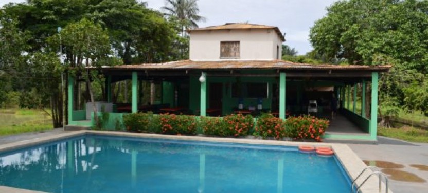 2 Days 1 Night at The Jungle