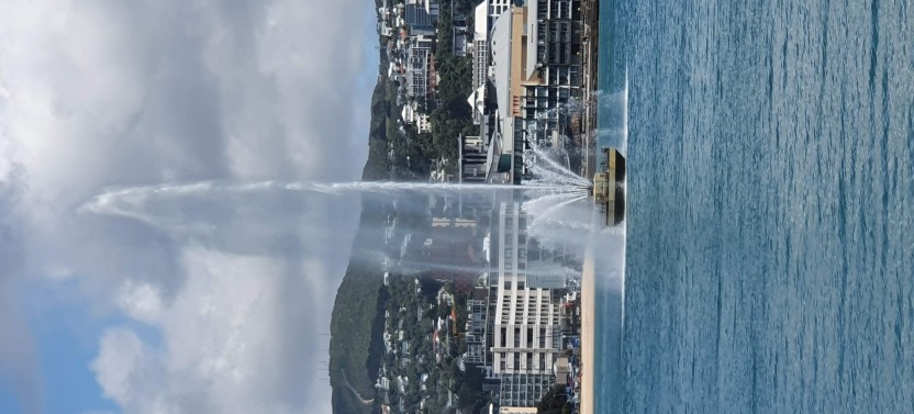 Shore Excursion: Small Group Wellington Experience Half Day Tour