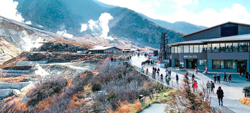 Private Hakone Tour - View Of Mt. Fuji, Nature And Culture