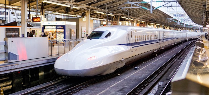Private Hakone Tour - View Of Mt. Fuji, Nature And Culture