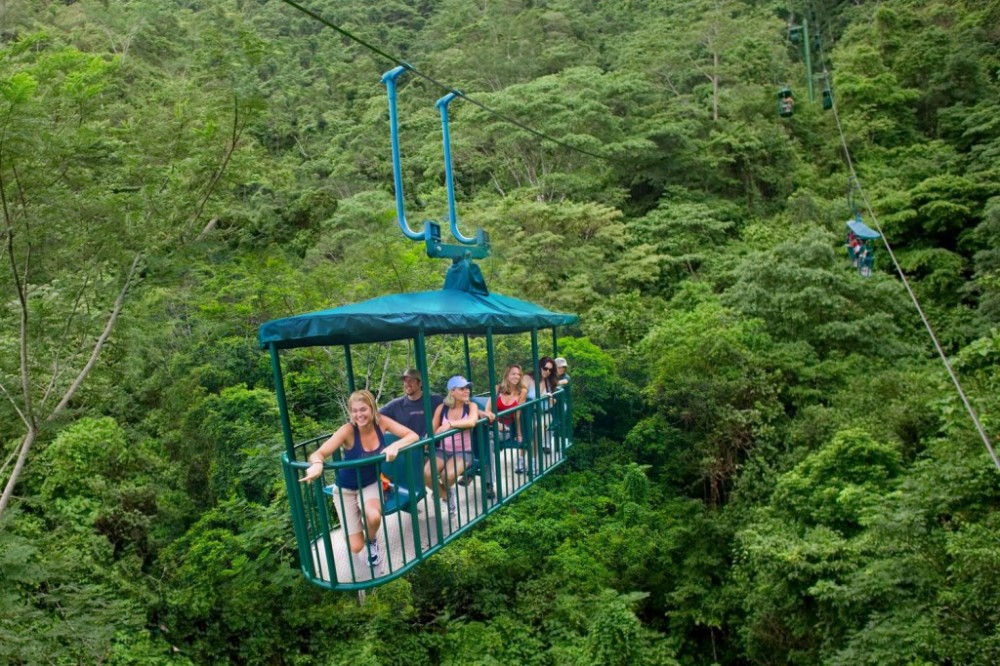 Private Tour: Rainforest Aerial Tram & Nature Walk