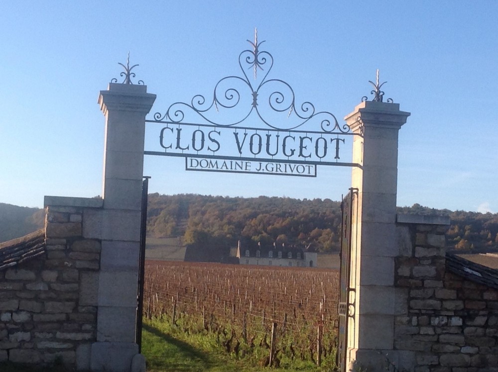 Private Côte de Nuits from Beaune Beaune Project Expedition