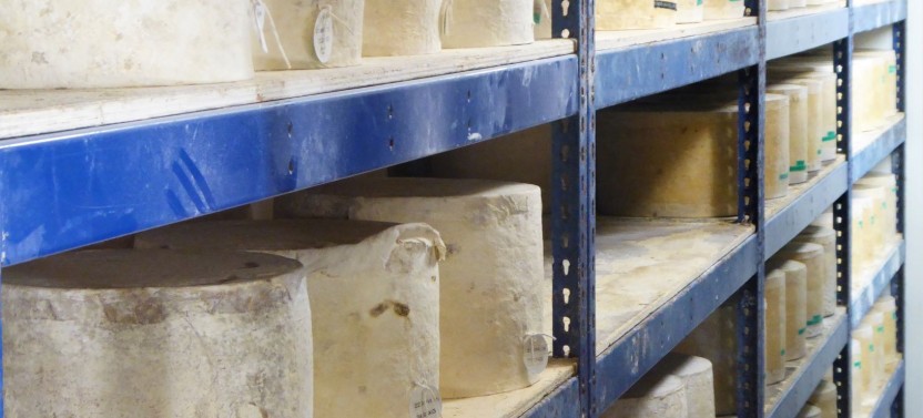 Wells, Cheddar Cheese and Cheddar Gorge Private Tour