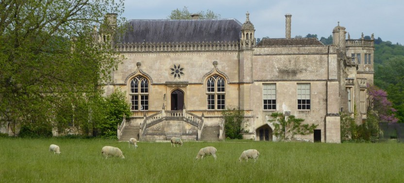 Lacock and Castle Combe with Cream Tea - Half Day Private Tour