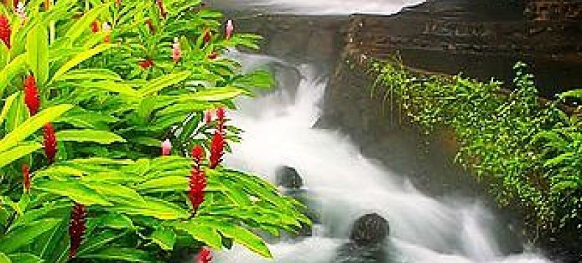 Jungle & Islands Cultural Expedition - 5D/4N