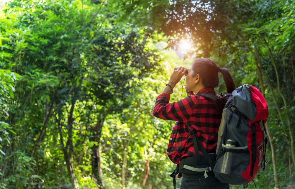 Jungle & Islands Cultural Expedition - 5D/4N - San Jose | Project ...