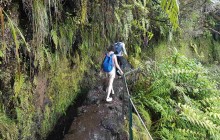 Pearl of the Atlantic3