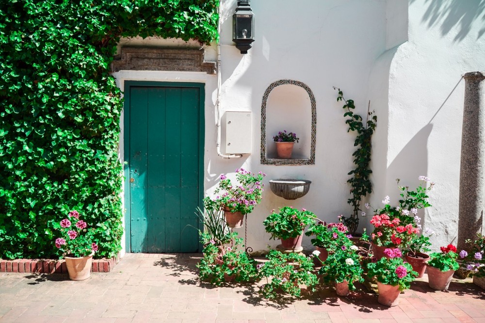 ANDALUCÍA A PIE
