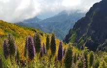 Pearl of the Atlantic2