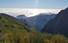 Pearl of the Atlantic3