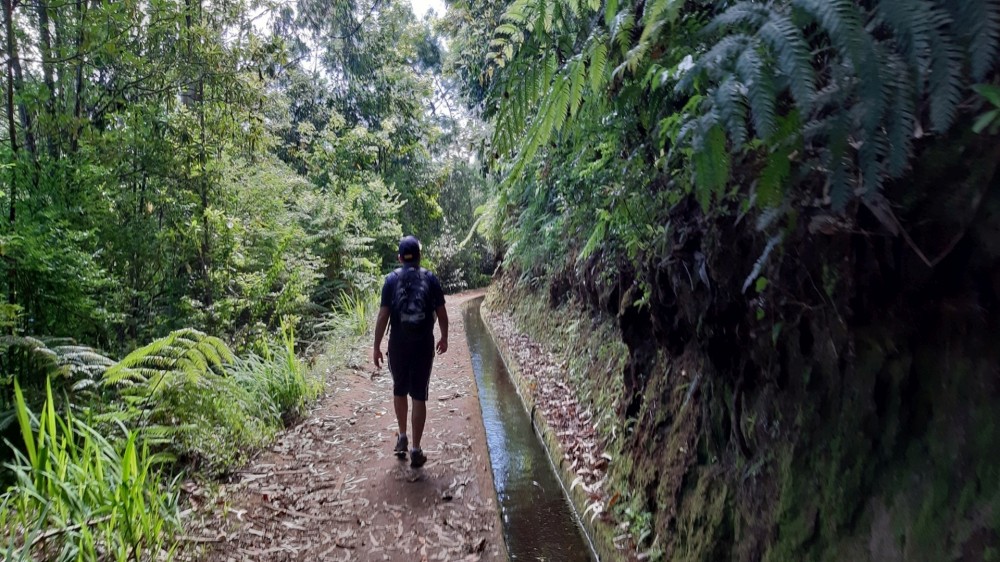 Private Guided Walk Levada do Rei