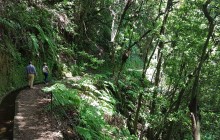 Pearl of the Atlantic4