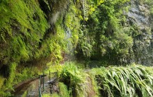 Pearl of the Atlantic5