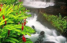Amazing Costa Rica Expedition with Car Rental - 8D/7N