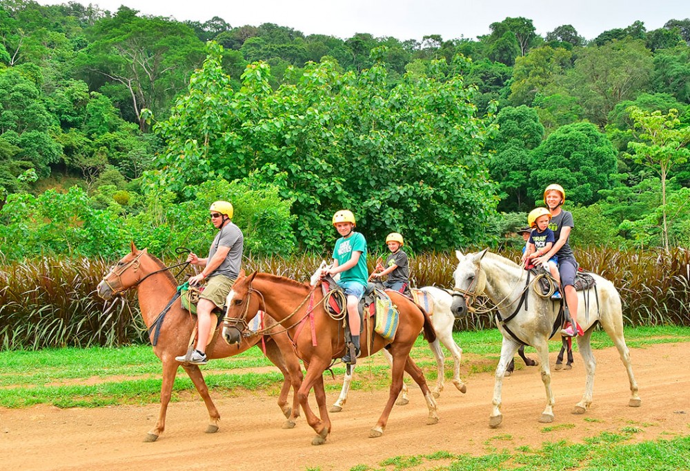 Shore Excursion: Horseback Riding + Zipline + Lunch From Puntaren