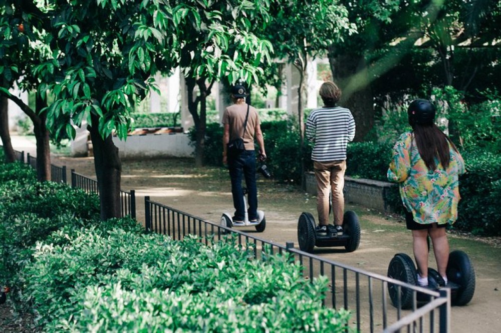 Small Group Panoramic Segway Tour of Granada