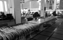 Pearl of the Atlantic3