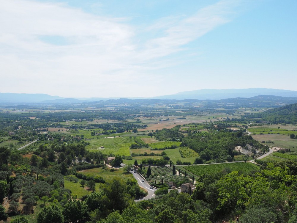 Private: Châteauneuf-du-Pape & Avignon from Arles