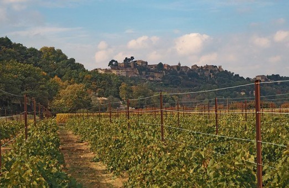 Private: Vineyards of the Var From Cannes