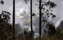 Pearl of the Atlantic3