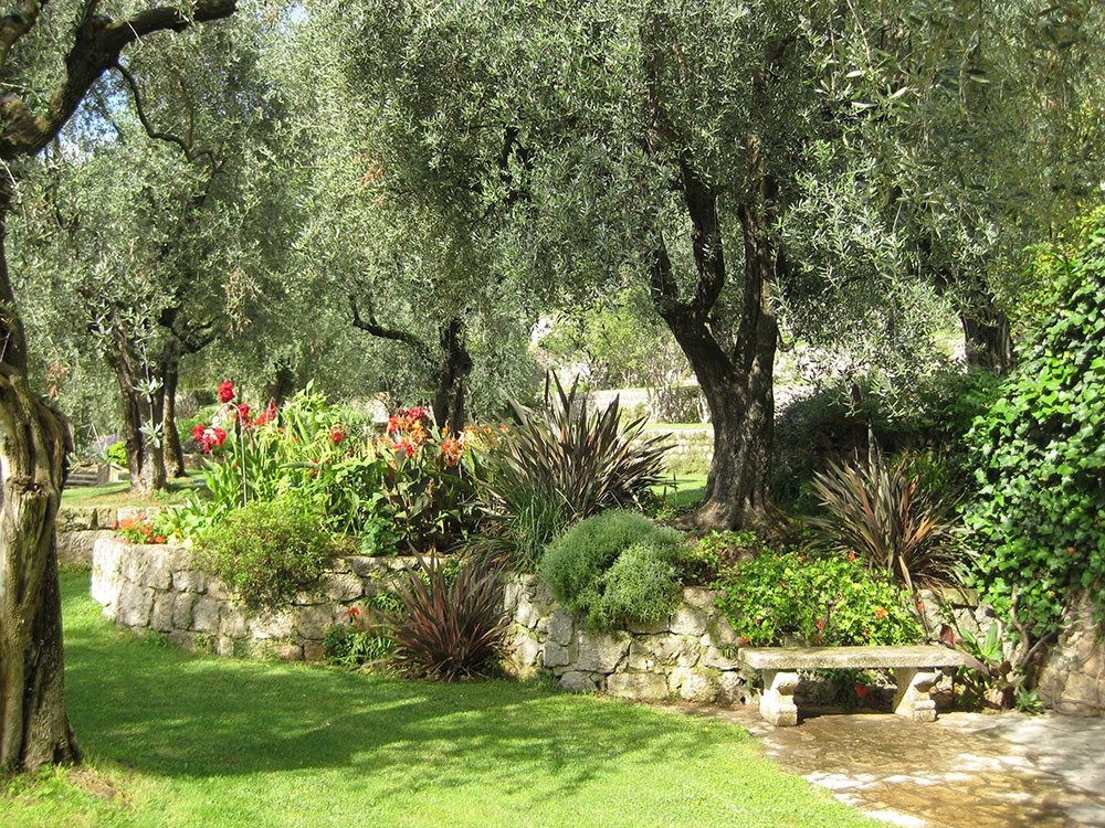 Private: Riviera Gardens and Perfume Creation from Vence