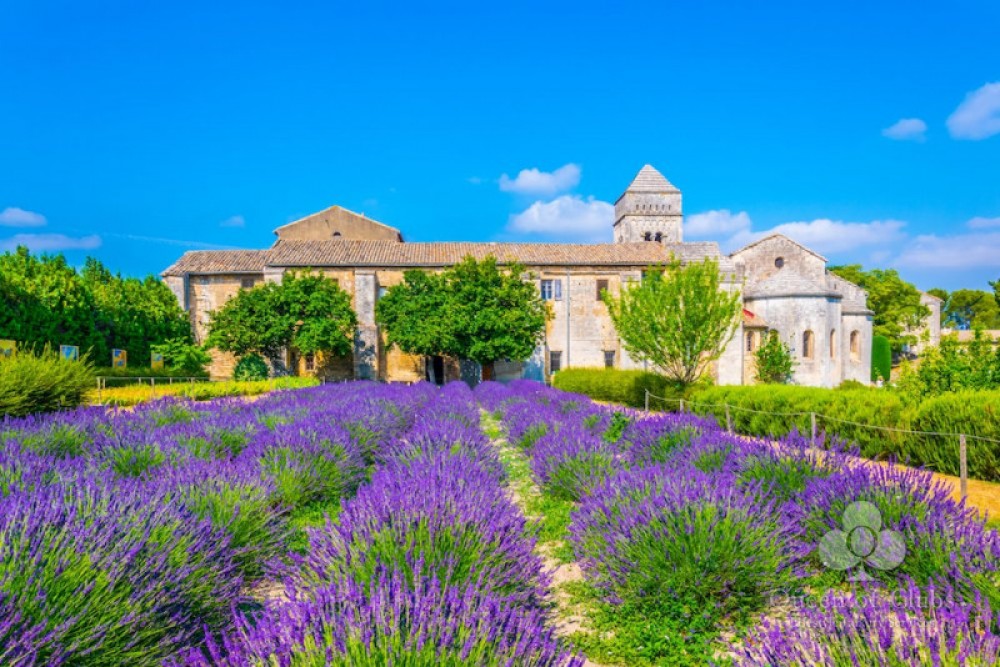 Private Van Gogh's Provence Arles + Saint Remy AixenProvence