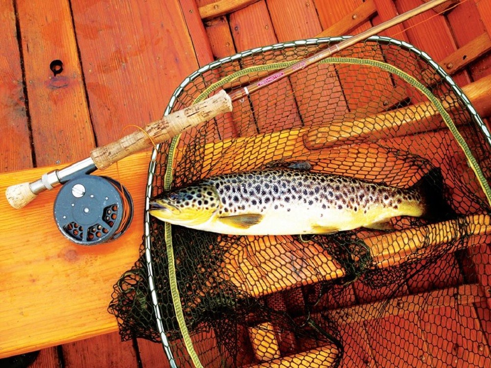 Brown Trout Fly Fishing Private Tour On Lough Corrib, Connemara
