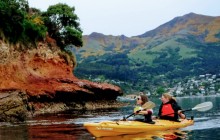 Akaroa Guided Kayak Safaris4