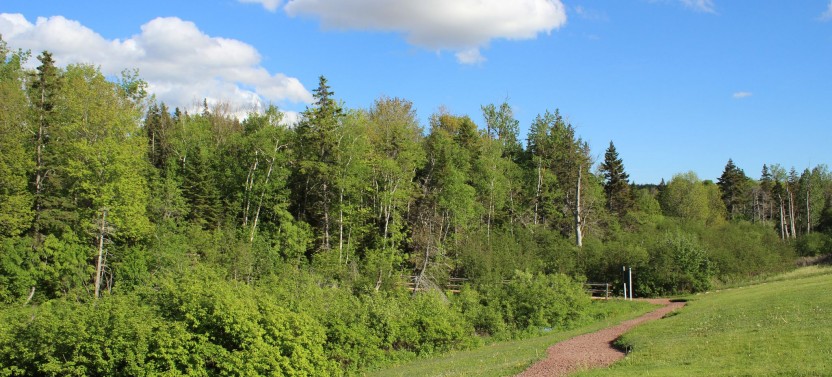 Green Gables House & Our Island Experience