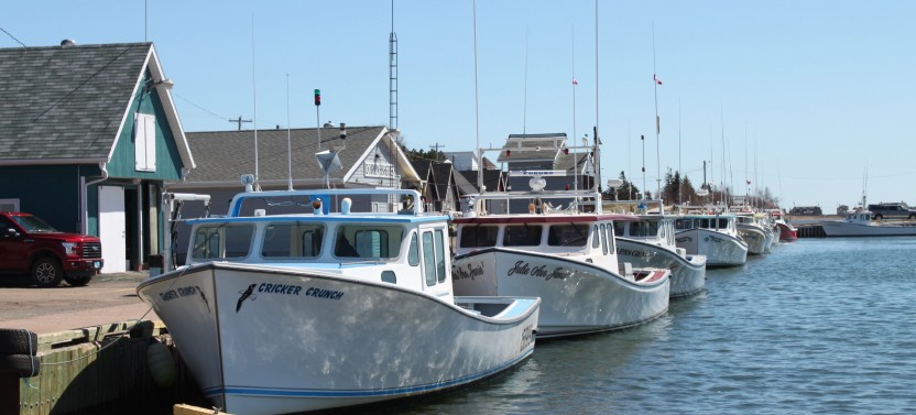 The Best of Our Little Island Private Tour
