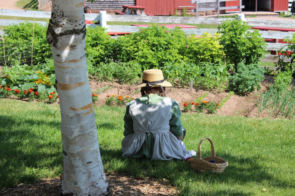 Shore Excursion Island Drive & Anne of Green Gables Charlottetown