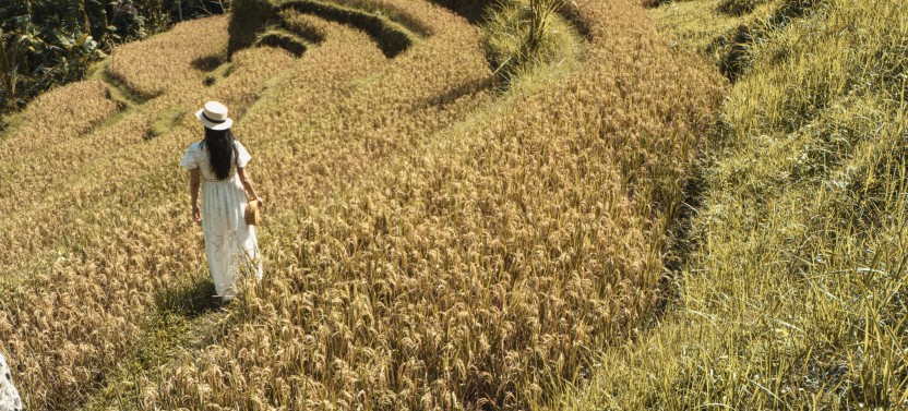 Bali Instagram Tour/ Shore Excursion: The Most Scenic Spots