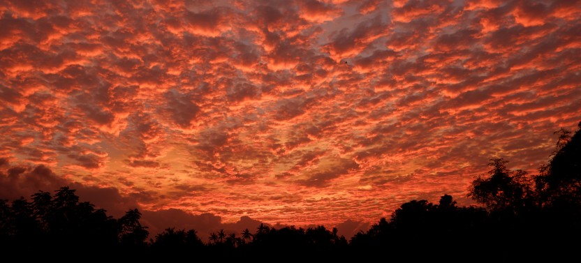 Mount Batur Sunrise By Jeep 4WD Tour + Hot Spring Excursion