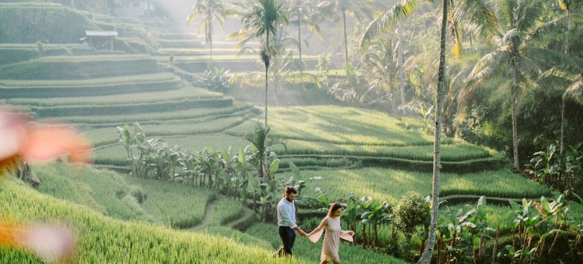 Bali - Swing and Waterfall Highlights Excursion