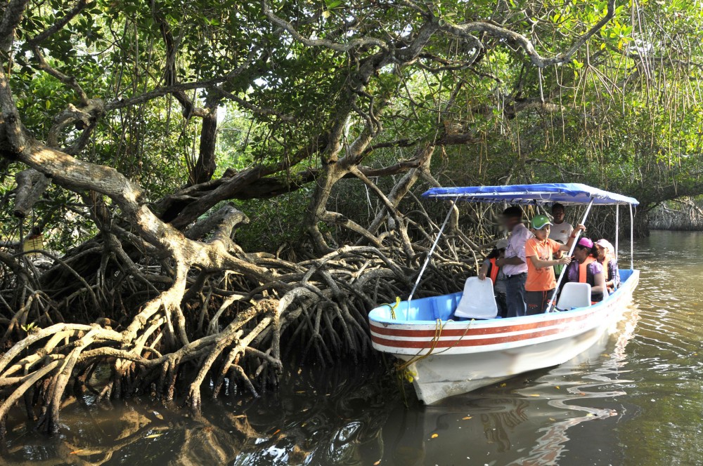 Shore Excursion: Mandinga Boat Trip and Restaurants from Veracruz - Veracruz  | Project Expedition