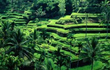 Your Bali Trekking Tour2