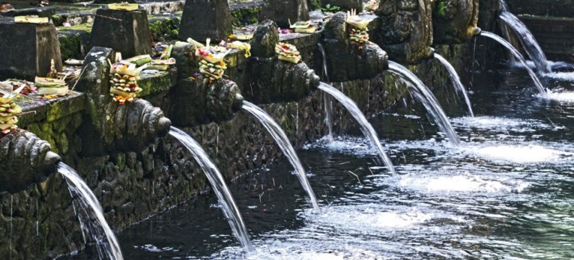 Bali Customized - Private Tour / Shore Excursion