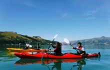 Akaroa Guided Kayak Safaris2