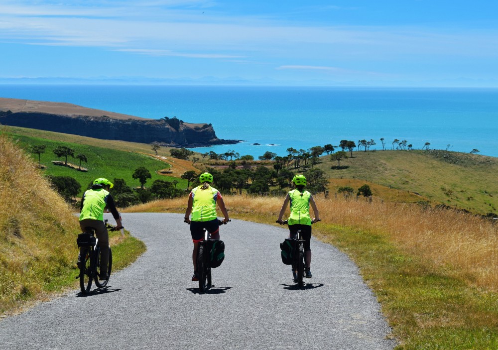 Akaroa Guided Kayak Safaris