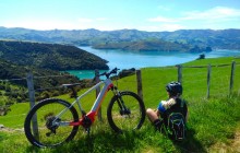 Akaroa Guided Kayak Safaris3