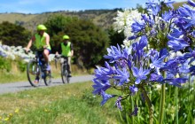 Akaroa Guided Kayak Safaris4