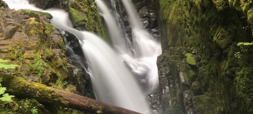 Olympic National Park Tour from Seattle
