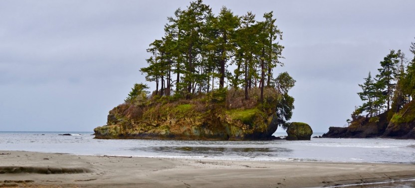 Olympic National Park Tour from Seattle